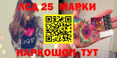 ALPHA PVP Гай
