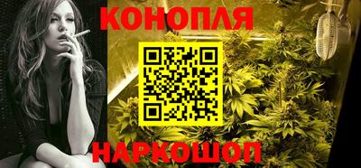 ALPHA PVP Гай