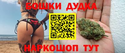 spice Гатчина