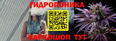 ALPHA PVP Гай