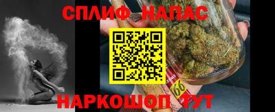 spice Гатчина
