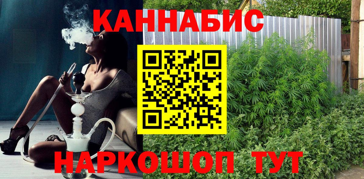 Бошки Шишки семена Мурино